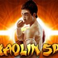 shaolin spin logo